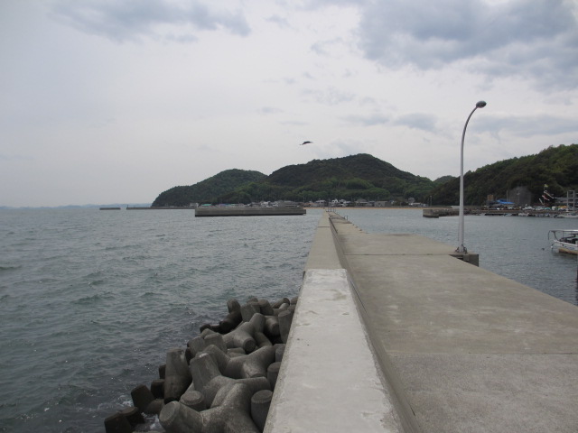 東宝伝漁港
